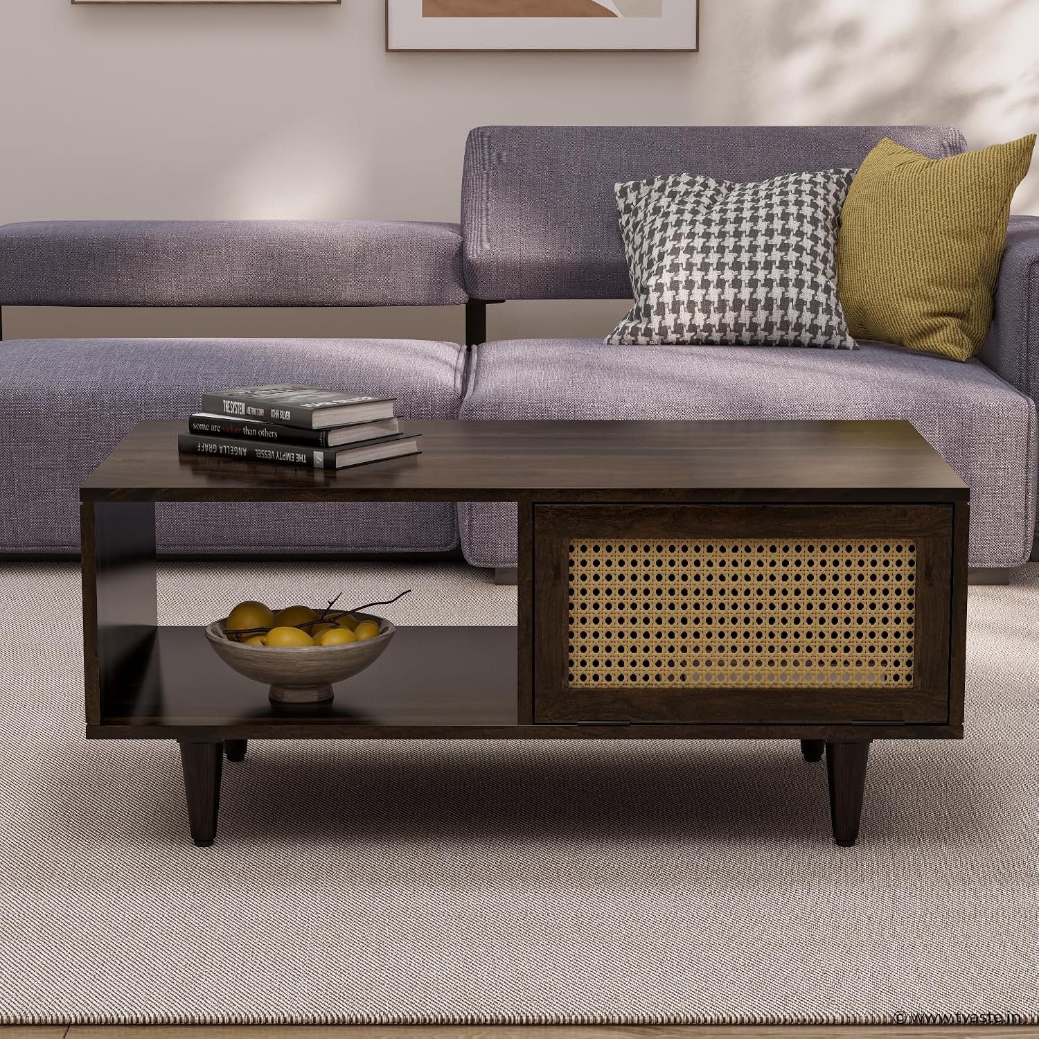 Solid Wood Cane Door Coffee Table with Open Storage Shelf