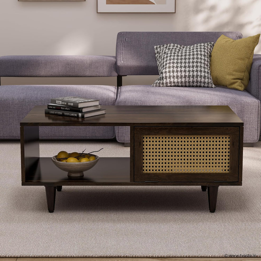 Solid Wood Cane Door Coffee Table with Open Storage Shelf