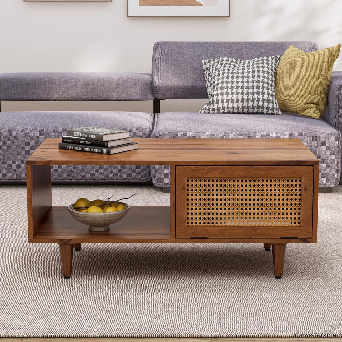 Solid Wood Cane Door Coffee Table with Open Shelf